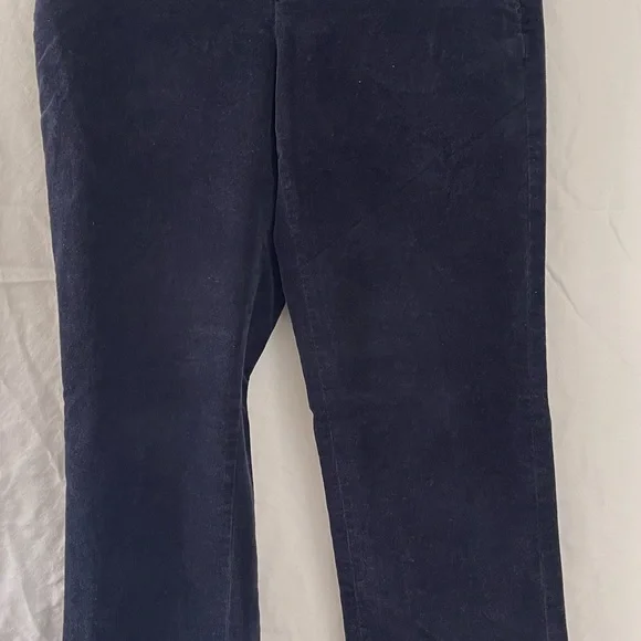 Banana Republic Logan Pants Women’s Corduroy Velour Bootcut style Size: 2 - Picture 2 of 7